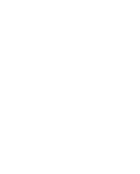 Snow Flake 2,0,1,0